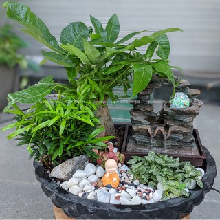 Thác nước tiểu cảnh – Phong Thuỷ Luân