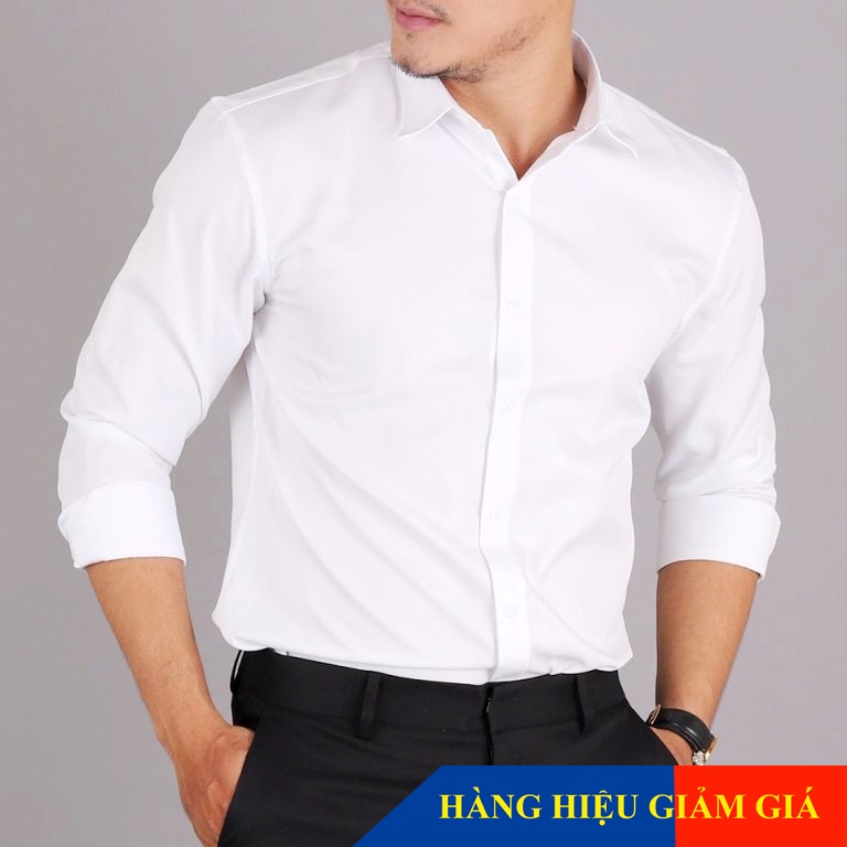 Sơ Mi Chính Hiệu Cá Sấu