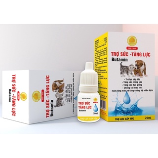 Trợ lực - tăng cường đề kháng cho chó mèo