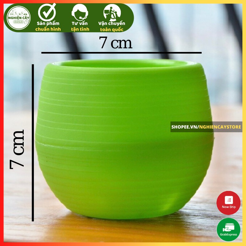Chậu nhựa mini nhiều màu tự tưới, trồng sen đá, sương rồng, cây mini để bàn