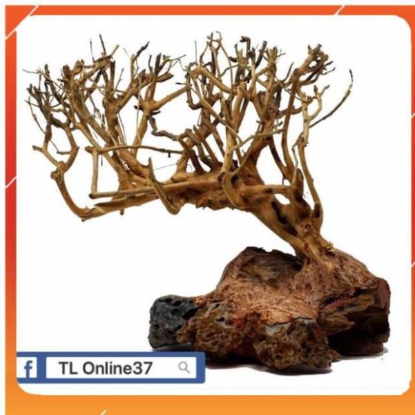 [Siêu Rẻ] Lũa bonsai đồng giá 89K [TS Online37]