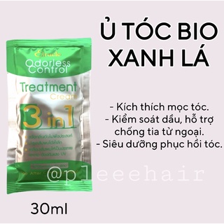 Ủ TÓC BIO THÁI