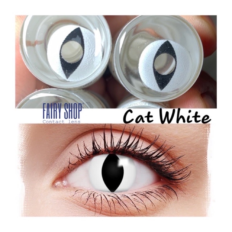 Áp tròng cosplay Cat white 14.0  - Kính Áp Tròng FAIRY SHOP CONTACT LENS