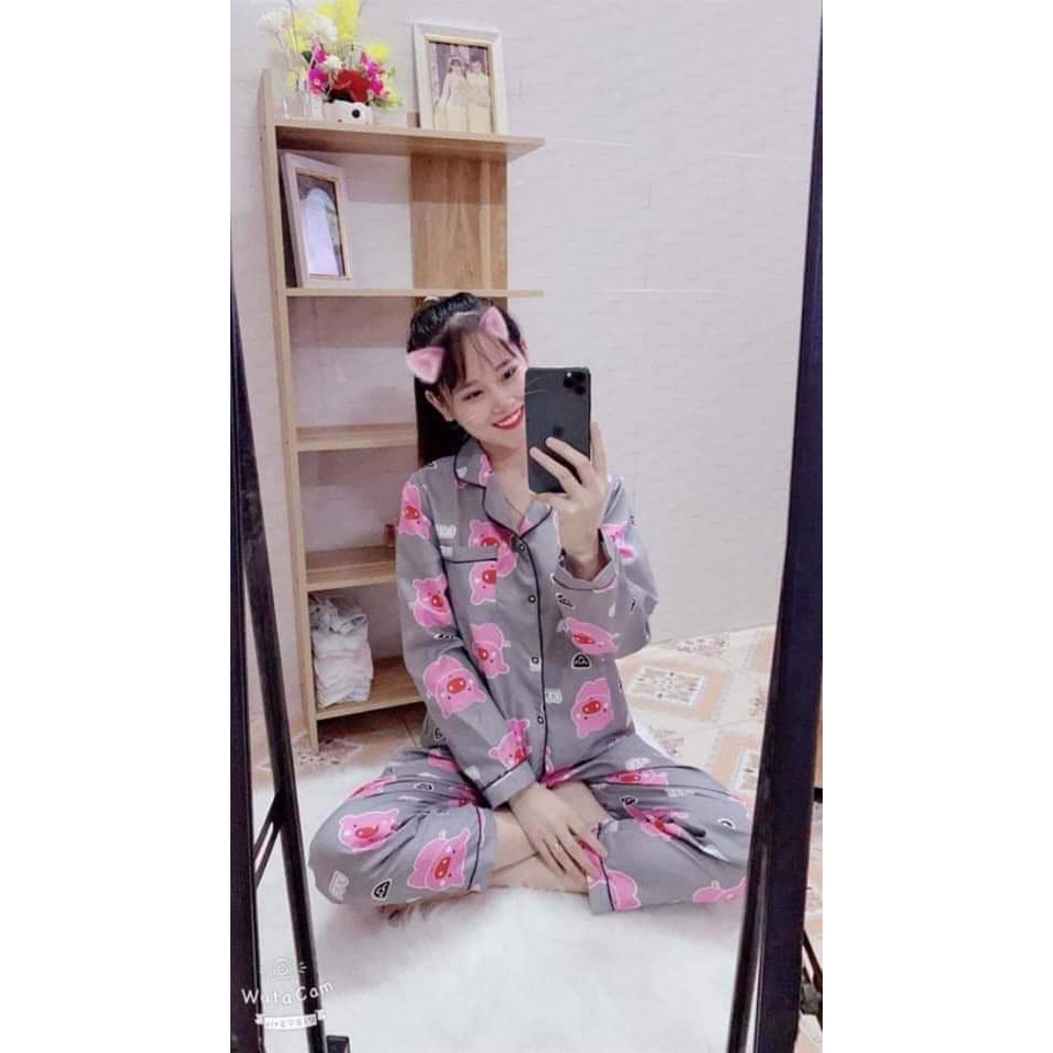 HOT !!! Pijama tay dài quần dài🌈🌈 mẫu ngẫu nhiên