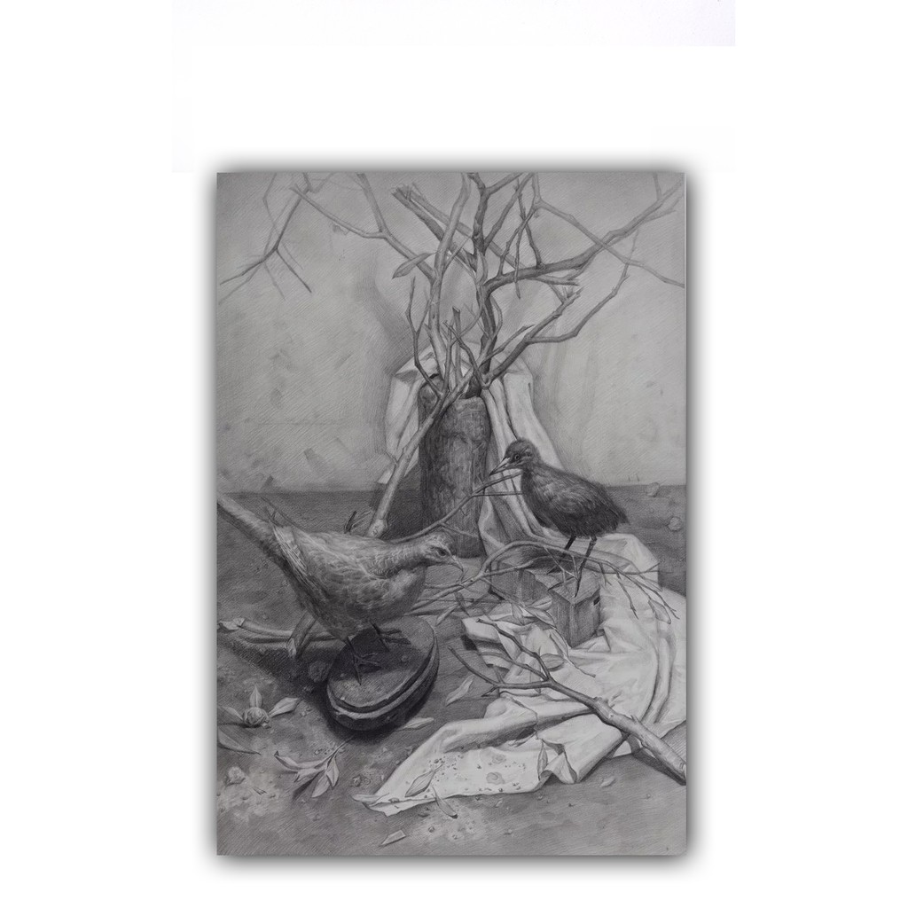 Bút chì than Maries