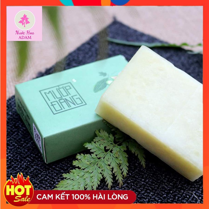 [Mã COMBOXABONG giảm 20% đơn 100k]COMBO 3 BÁNH XÀ BÔNG SINH DƯỢC TỰ NHIÊN (DIỆT KHUẨN, AN TOÀN, LÀNH TÍNH) | BigBuy360 - bigbuy360.vn