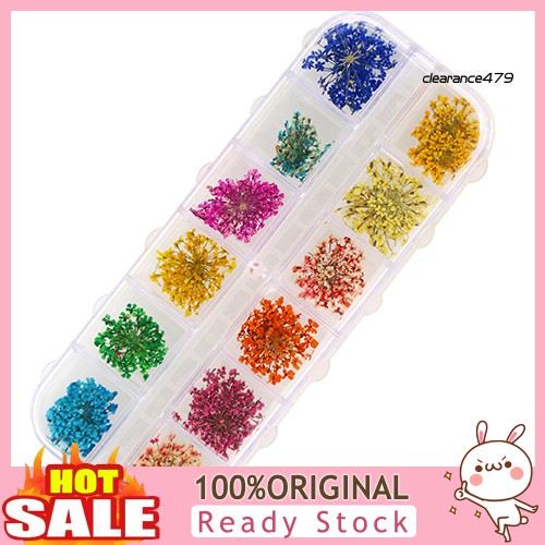 Bộ 36 Hoa Khô 12 Màu Dùng Để Trang Trí Móng Nghệ Thuật Độc Đáo