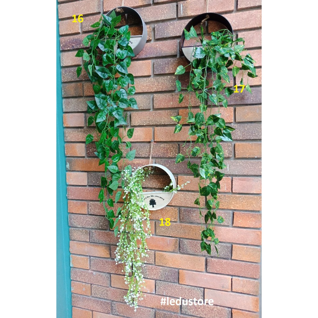Giảm 1.250 ₫] Cây rủ cây dây leo giả trang trí treo tường - tháng ...