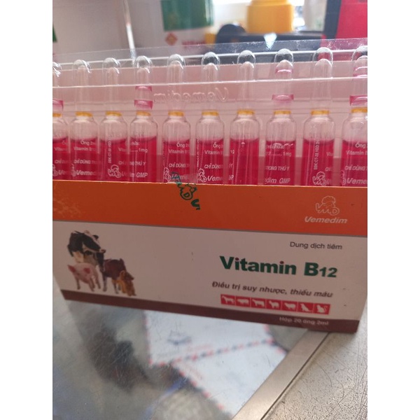 vitamin B12, dùng cho gà đá, gà chọi tăng lực,bổ máu hồi phục thể lực (1 hộp 20 ống)