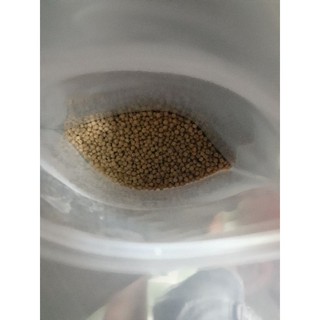 Cám Thái Hàng Xịn - Cho Cá Siêu Tốt