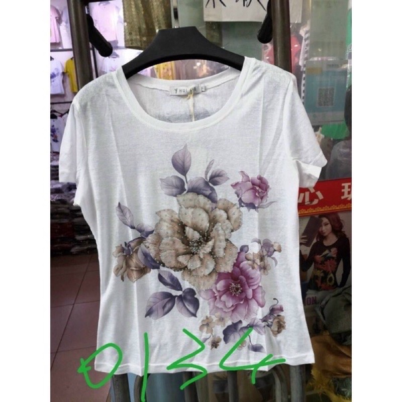 Áo Thun Giấy Nữ Hàng Quảng Châu 6 SIZE 40-85Kg SALE cực rẻ