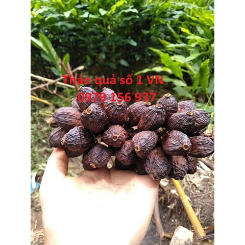 THẢO QUẢ KHÔ THƠM TÂY BẮC - GÓI 1KG - LẺ BẰNG SỈ