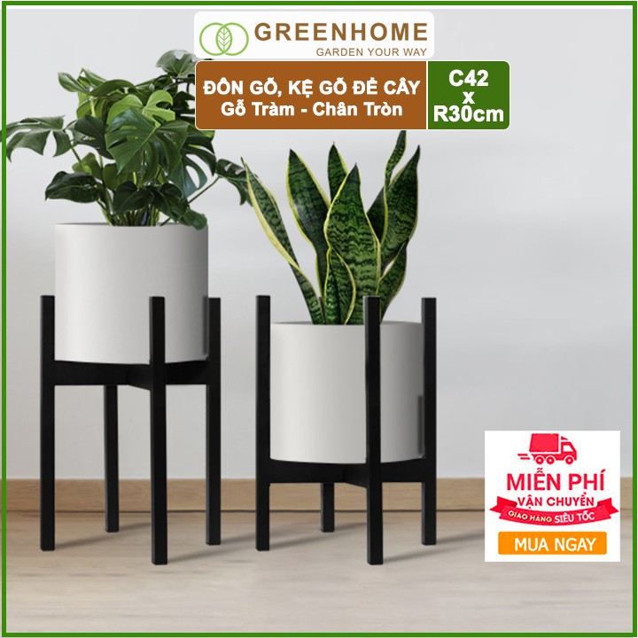 [FREESHIP 70K] Đôn gỗ, kệ kê chậu cây nội thất bằng gỗ Tràm màu Nâu chân Tròn C42xR32cm- 🎁 Tặng kèm dĩa lót D27cm🎁