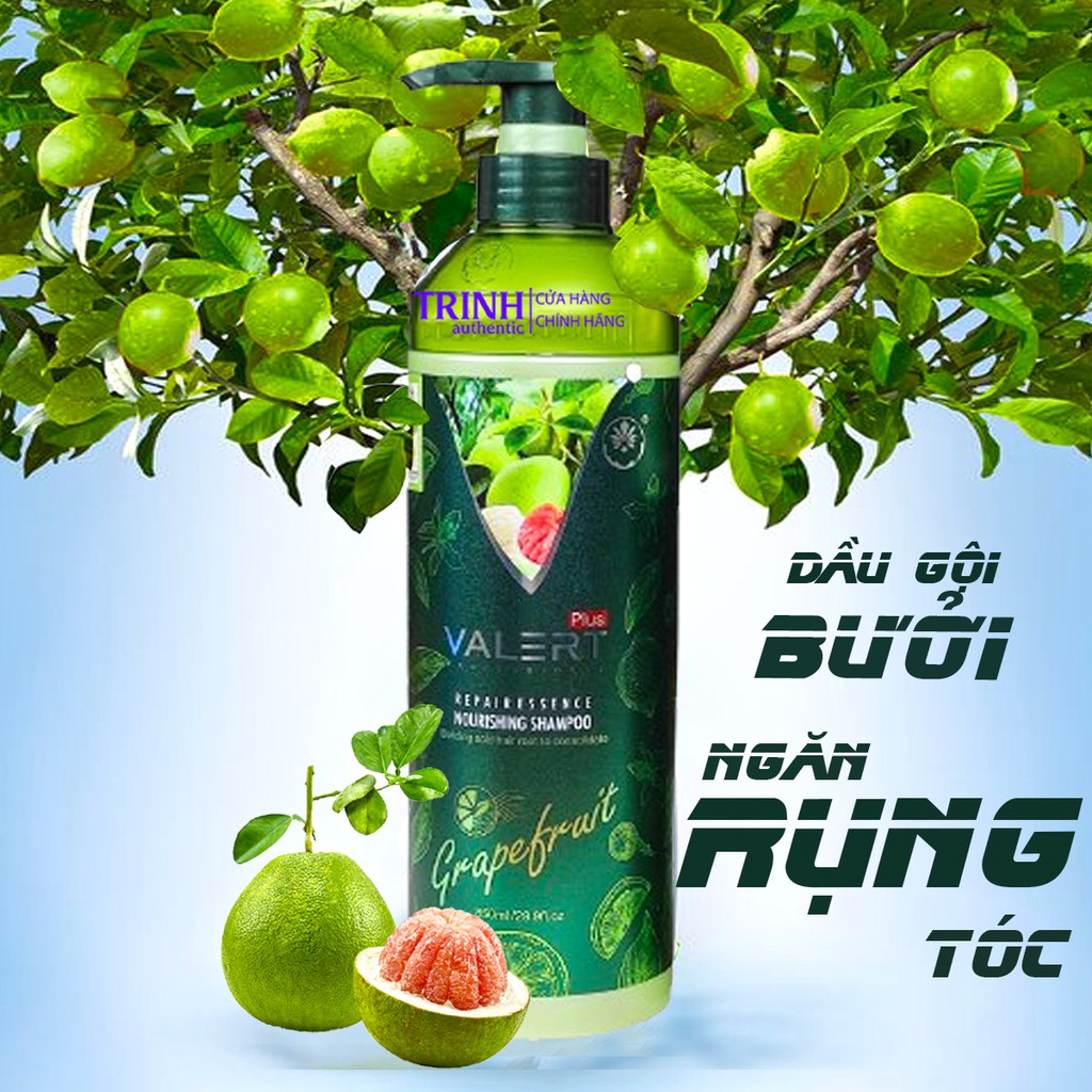 [FREE SHIP- GIẢM 50K] Trọn Bộ Dầu Gội Xả Bưởi VALERT Grapefruit 850ml  NEW 2021 Mới Bên Ngoài Tuyệt Vời Bên Trong