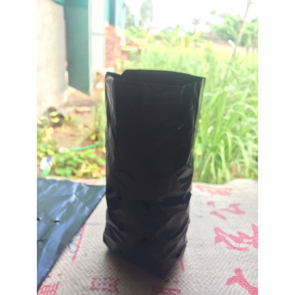 1KG TÚI ƯƠM CÂY MÃ 7*24 ( KÍCH RỄ, MẦM CÂY XANH LÁ, DỊCH TRUYỀN CHO CÂY, BẠT CỎ...)