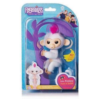 COMBO 2 KHỈ FINGER MONKEY VÀ 1 SET TRỨNG THẦN KÌ