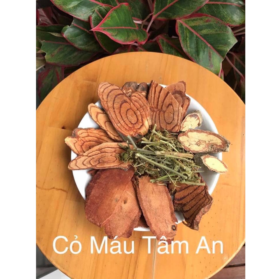 Cỏ máu Tâm An liệu trình đẹp da, an thần