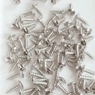 Vít xoắn dù inox 3lix1cm.100 gram