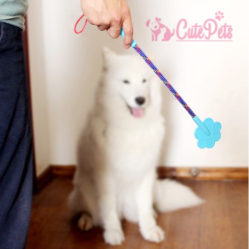 Gậy tét đít - Huấn luyện chó mèo - CutePets Phụ kiện thú cưng Pet shop Hà Nội