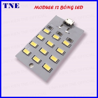 Module 12 bóng LED siêu sáng nguồn mirco USB