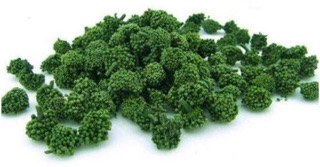 NỤ HOA TAM THẤT 100G