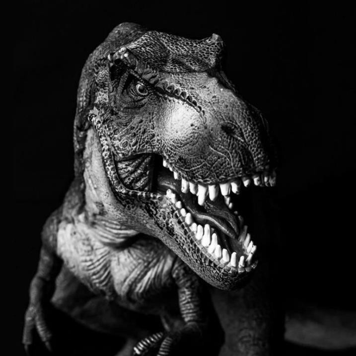 Mô Hình Siêu Khủng Long Bạo Chúa TYRANNOSAURUS REX