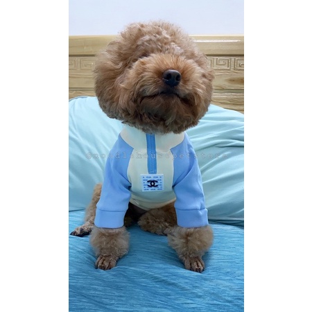 Áo cao cổ thun gân Chanel cho thú cưng