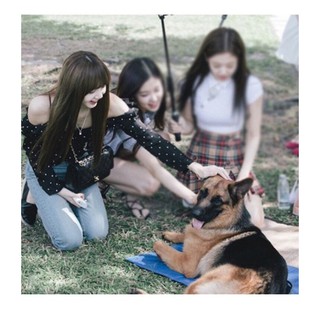 Trễ vai chấm bi đen Lisa blackpink