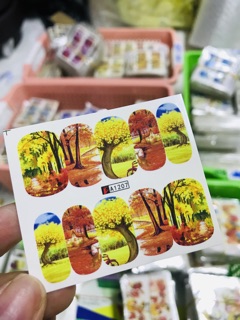 Stick nước 3D trang trí móng Thiên Di Nail