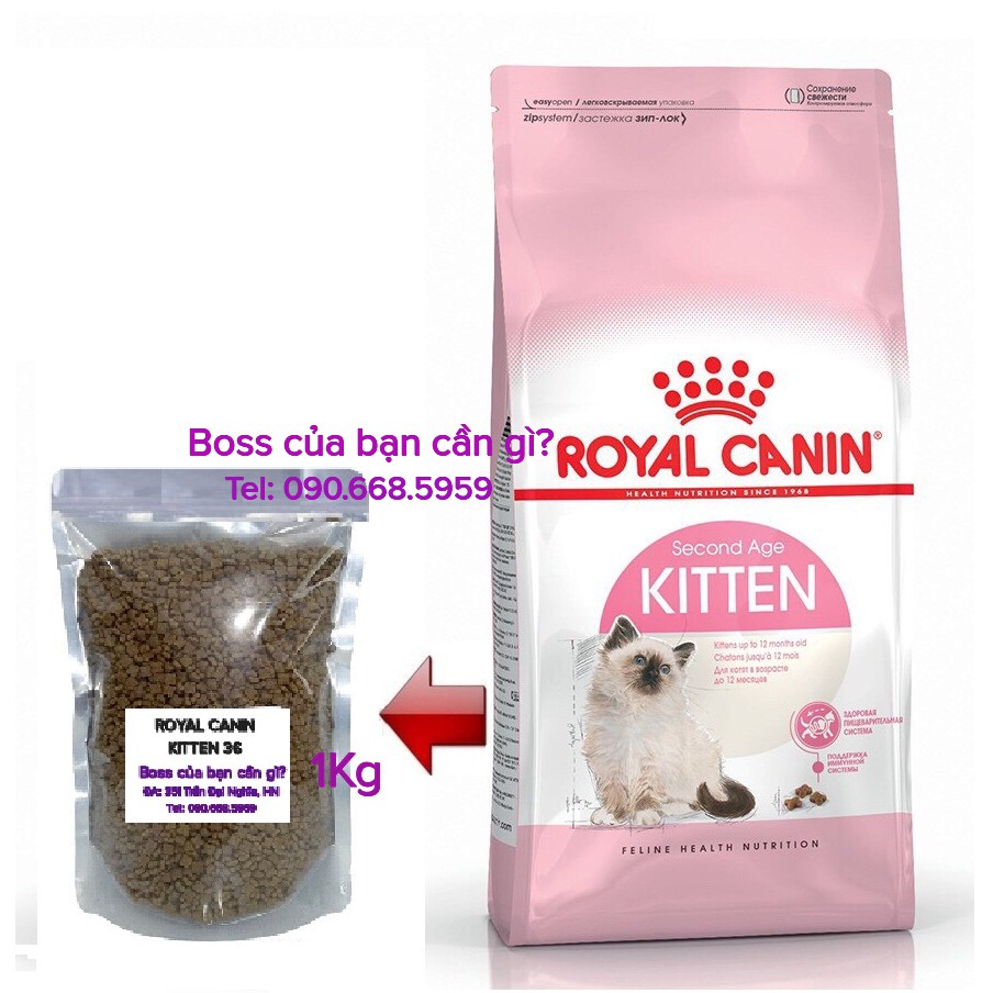 Thức ăn cho mèo con Royal Canin Kitten 36, Catsrang hạt cho mèo