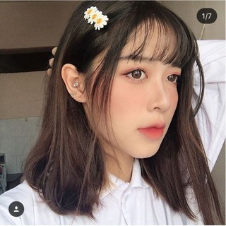 Set 2 Kẹp Tóc Nữ Hoa Cúc Trắng Họa Mi