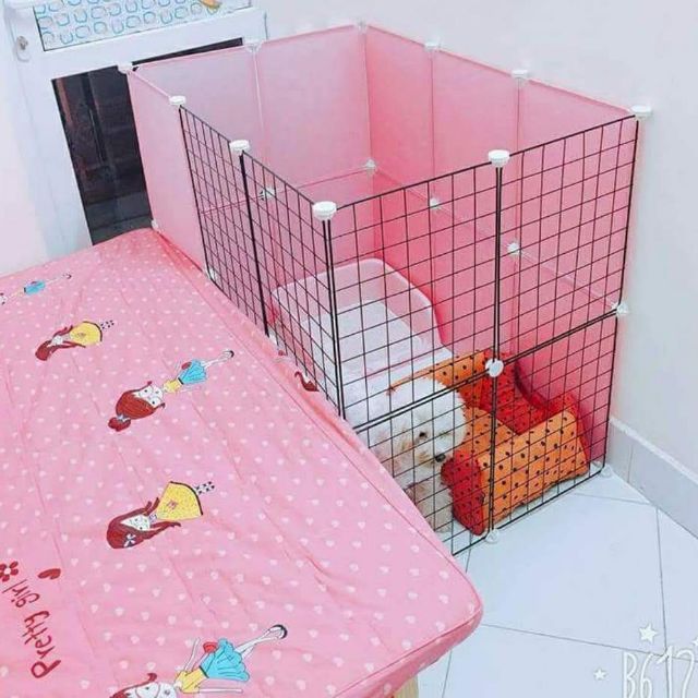 🍀 SET QUÂY THÚ CƯNG