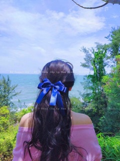 Nơ kẹp cánh bướm 4 cánh 4 dây