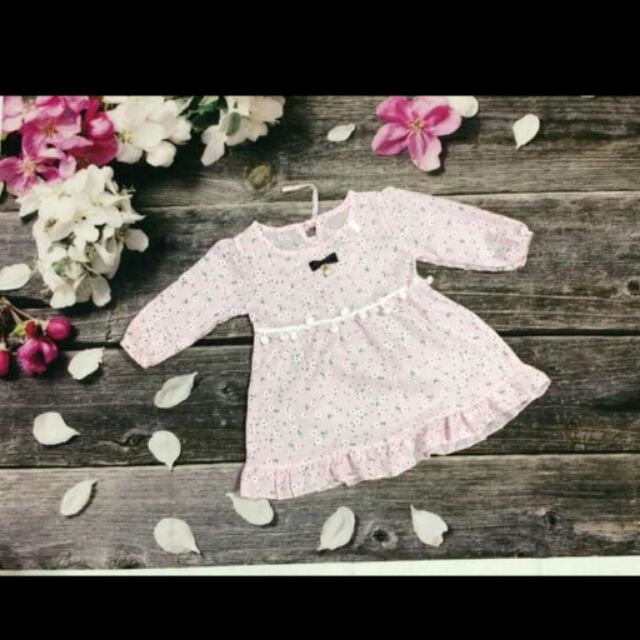 Compo  300k