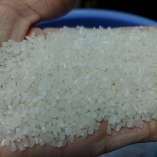 Gạo tấm thơm-Gạo tấm dẻo