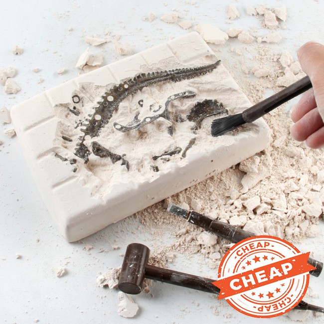 Đồ chơi lắp ráp mô hình xương khủng long độc đáo cho trẻ em