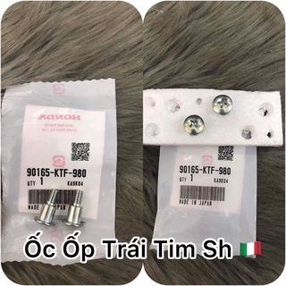 Ốc bắt trái tim : sh ý 2009 - 2011
