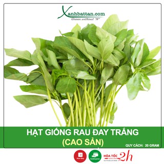 Hạt Giống Rau Đay Cao Sản Phú Nông Gói 20 Gram