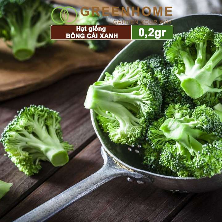 Hạt giống Súp lơ xanh Greenhome, gói 0,2gr, bông cải xanh, dinh dưỡng, dễ trồng T10