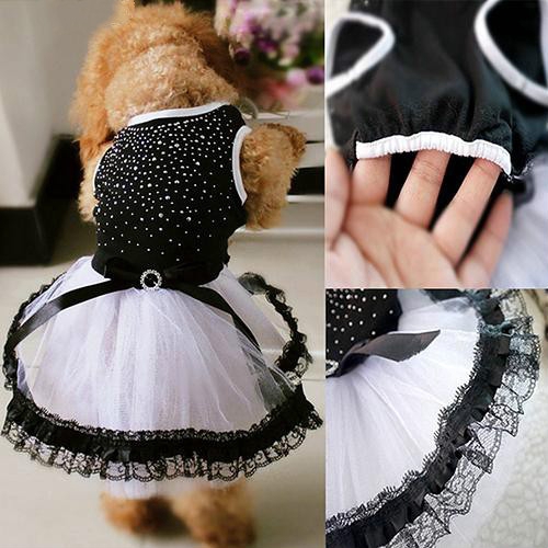 Đầm xòe công chúa phối ren dành cho thú cưng