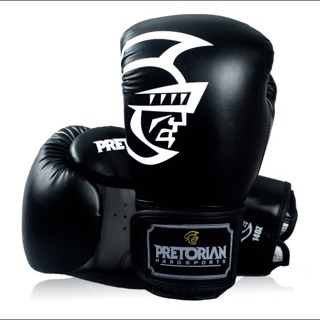 Găng tay Boxing Pretorian