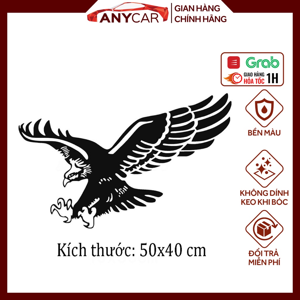 Dcan dán xe ô tô, xe hơi hình đại bàng cao cấp
