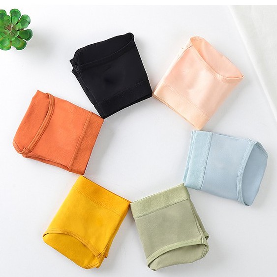 Quần lót nữ cotton nhiều màu sắc Latty L3-05