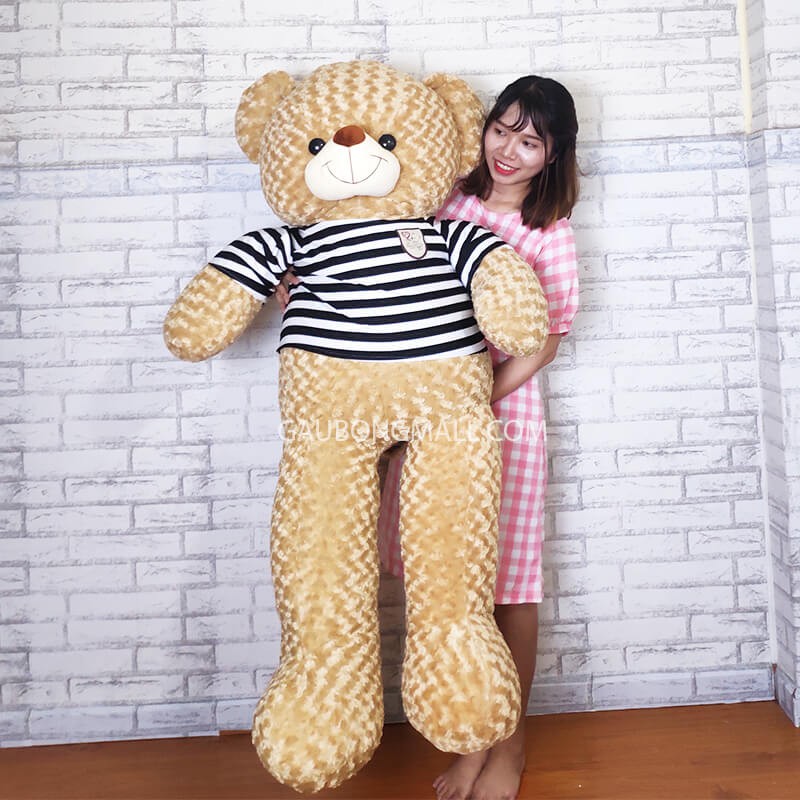 Gấu teddy 1m6 (cao 1m4) Cao cấp lông xoắn áo len[Ảnh Shop Chụp]