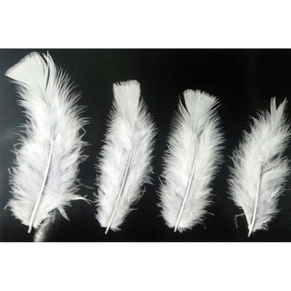 lông gà giá sỉ 1 bịch hơn 100c - size 4-10cm - có hơn 10 màu = 35k mua sỉ 5b = 125k