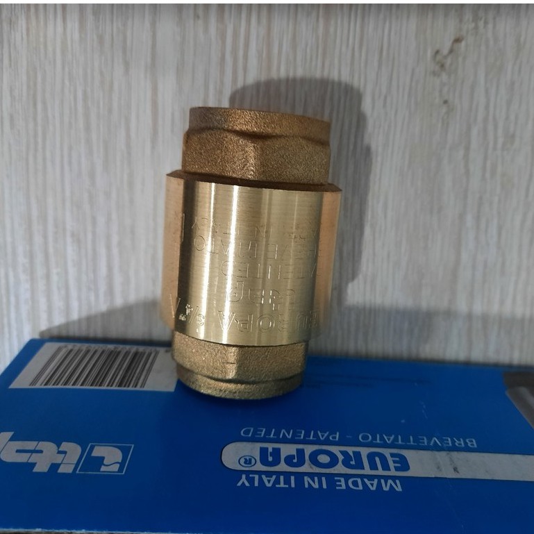 Van 1 chiều lò xo Europa art.100 Italy phi 21 phi 27 phi 34 áp 25kg