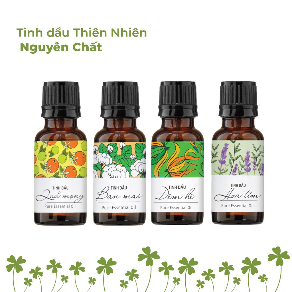 Tinh Dầu Xông Phòng Thiên Nhiên Nguyên Chất An Toàn Cỏ Mềm 20ml