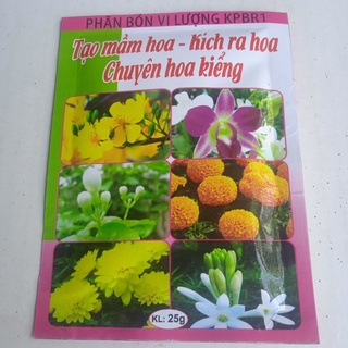 Tạo mầm hoa mập nụ