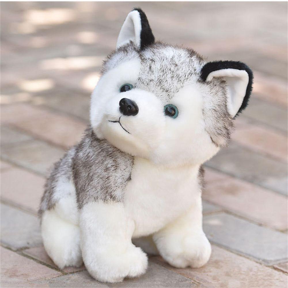 Chú Chó Husky Nhồi Bông Đáng Yêu Cho Bé