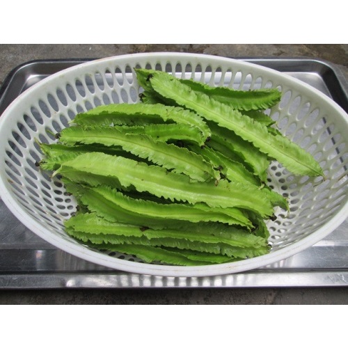 Hạt Giống Đậu Rồng Cao Sản Phú Nông Cho Siêu Trái- Gói 10gr (HPN-051)